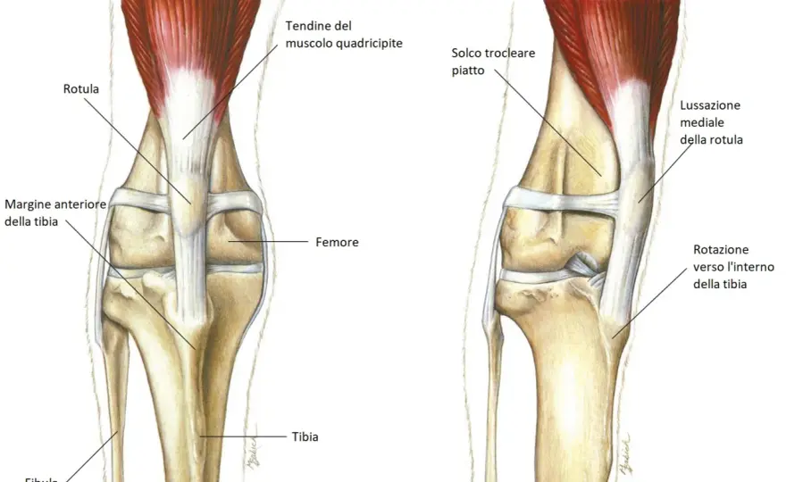 Lussazione rotula cane: costi, quando operare e come recuperare