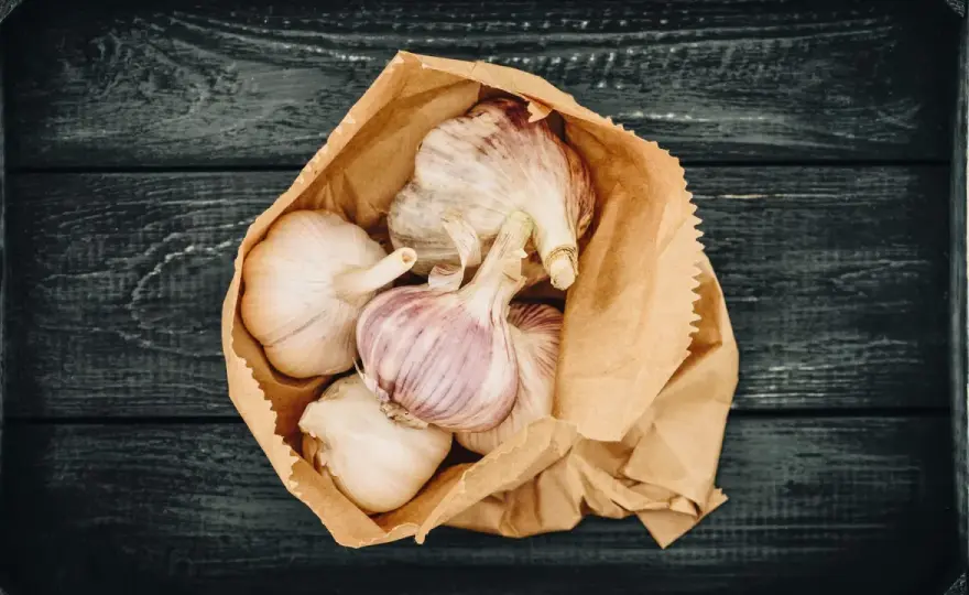 Knoblauch lagern - So bleibt er monatelang frisch und aromatisch