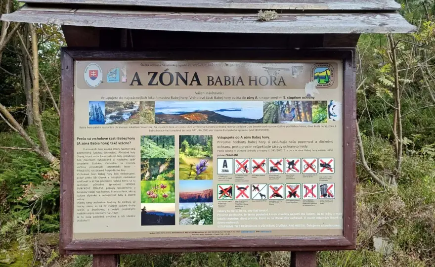 Babia Góra z psem - Czy wolno wejść na szczyt? Sprawdź zasady i trasy