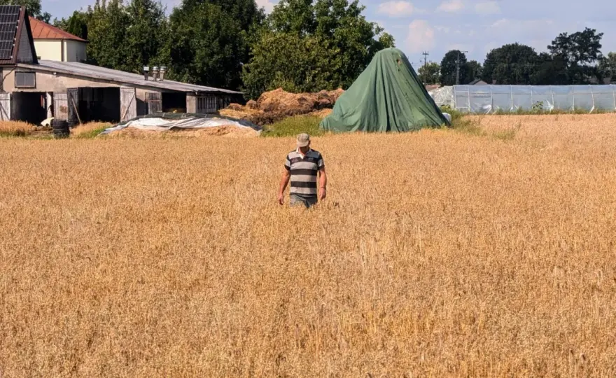 Kara za brak OC rolnika - Jak uniknąć i co zrobić?