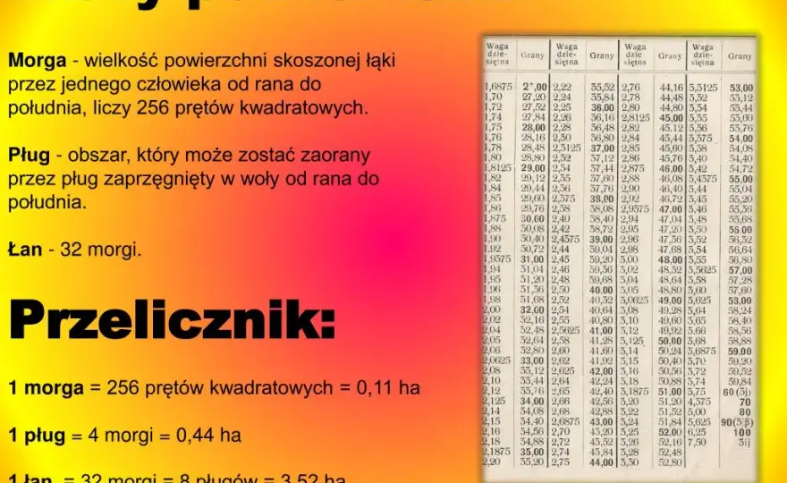 Morga na hektary: Precyzyjne przeliczanie jednostek powierzchni