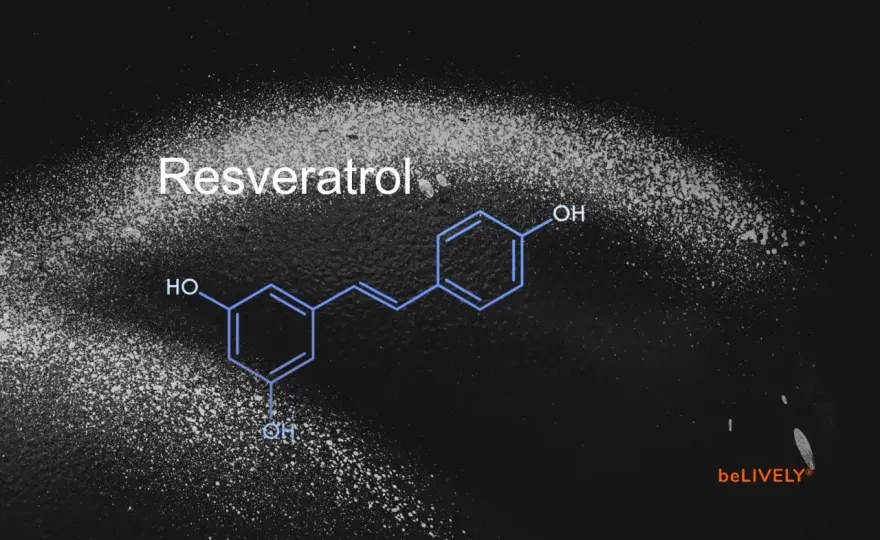 Resveratrol im Check - Nutzen, Quellen und Risiken
