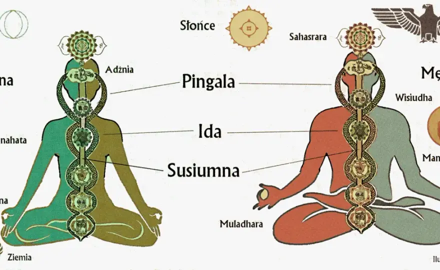 Poza 7 czakr: Kundalini i mistrzostwo energii dla zaawansowanych