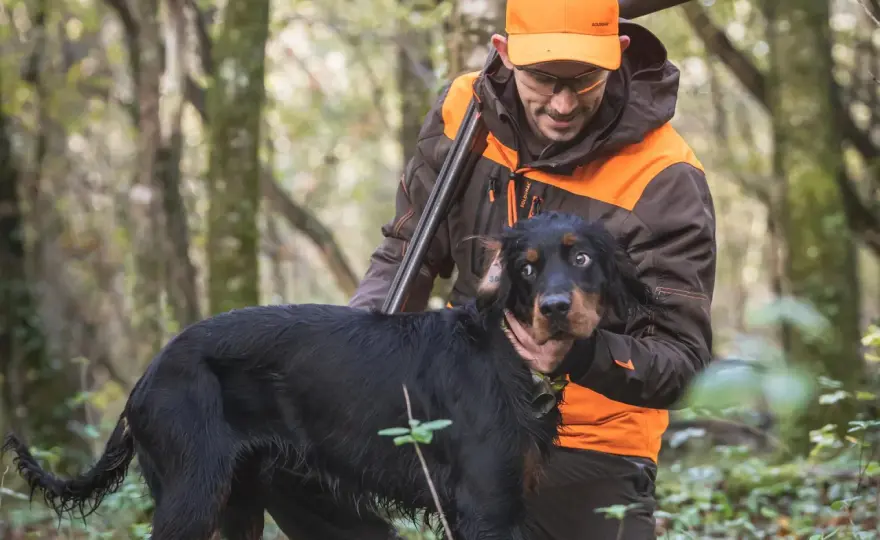 Chasse à la bécasse - Maîtrisez le terrain et le chien