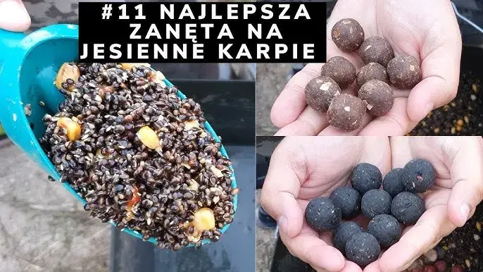 Najlepsza zanęta na karpia: Skuteczne przepisy i porady (do 70 znaków)