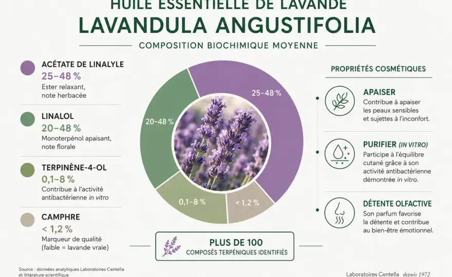 Bienfaits de la lavande - effets, usages et précautions