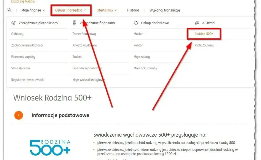 Świadczenie wspierające - ZUS: Jak złożyć wniosek bez błędów?