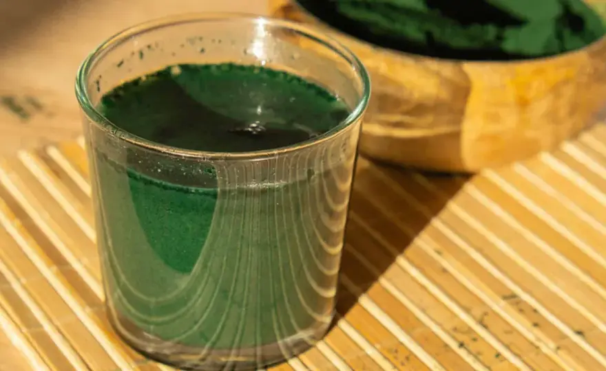 Chlorella Nebenwirkungen - was du vor dem Start wissen solltest