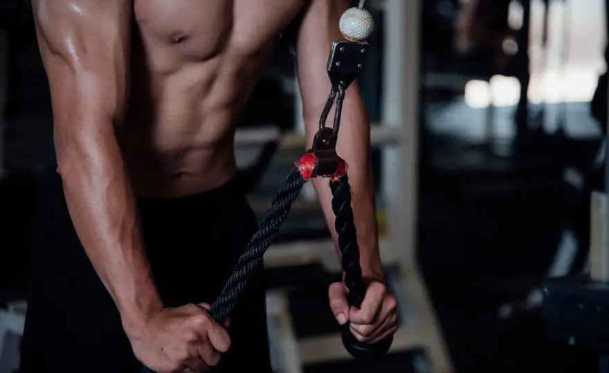 Ile serii na triceps? Optymalna objętość dla wzrostu!