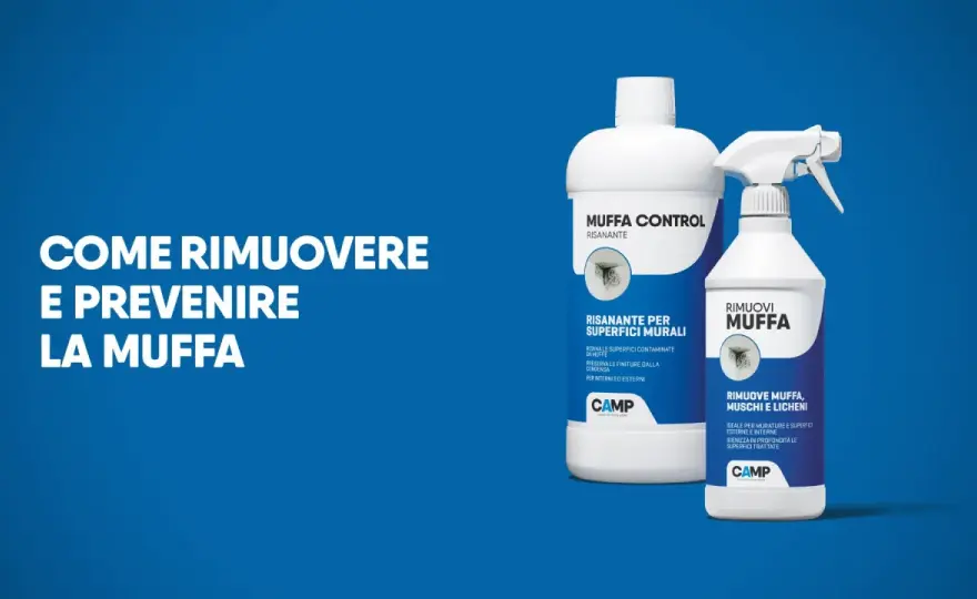 Muffa sui muri - Rimuoverla e prevenirla per sempre: la guida