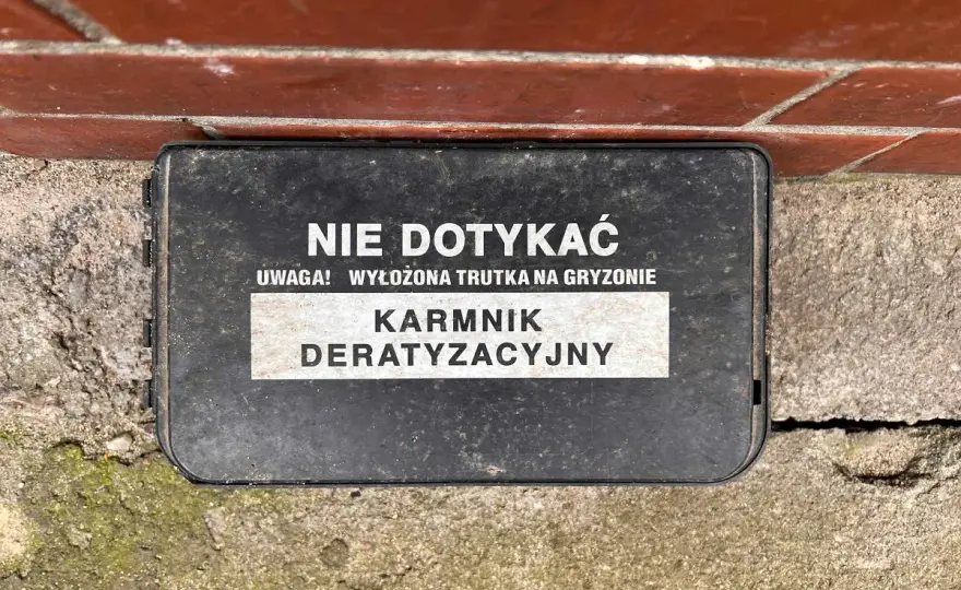 Kto odpowiada za deratyzację w bloku? Prawo i Twój plan działania.