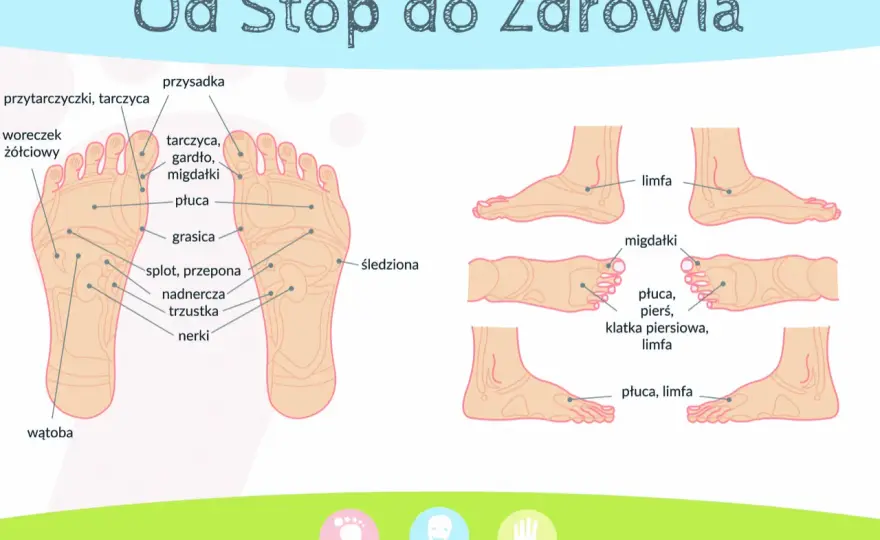 Refleksologia stóp - Odkryj mapę zdrowia na swoich stopach