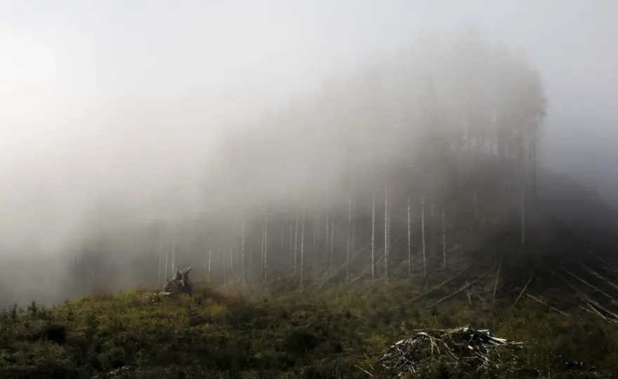 Brzydkie zdjęcia - Dlaczego wychodzą i jak robić lepsze fotografie?