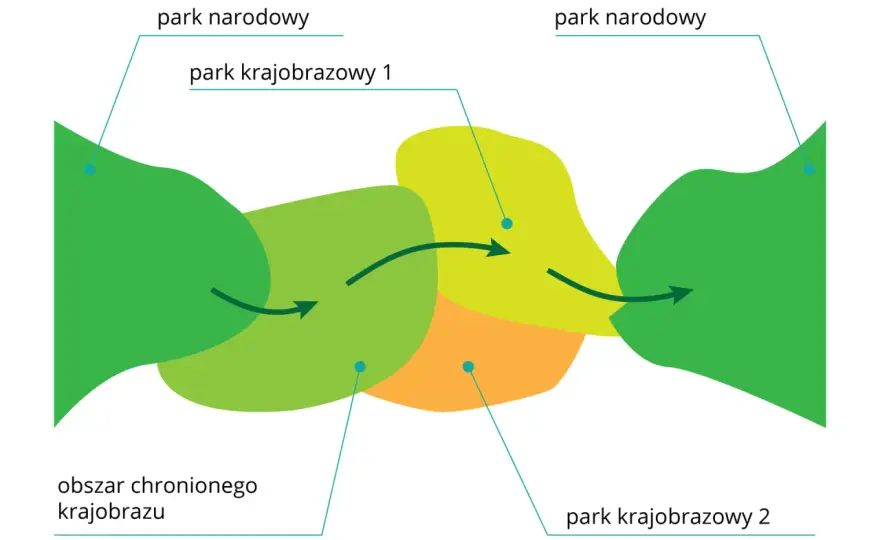 Park narodowy a krajobrazowy - Różnice i zasady dla turystów