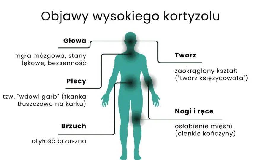 Wysoki kortyzol - stres czy choroba? Poznaj objawy i leczenie