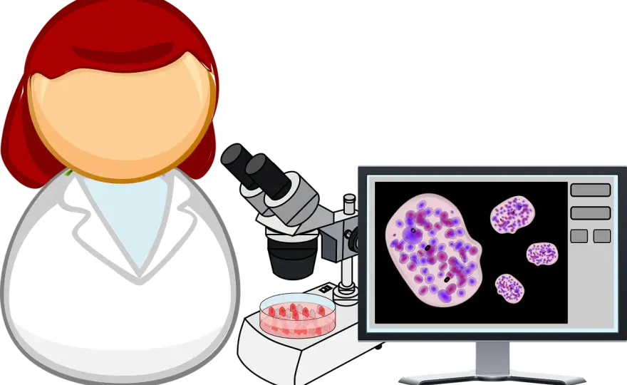 Assicurazione Biologo Nutrizionista - Guida Completa per la Tua Protezione