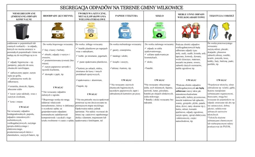Gdzie wyrzucać liście? - Poradnik segregacji i kompostowania