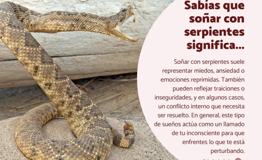 Soñar que te muerde una serpiente - Significado y qué hacer