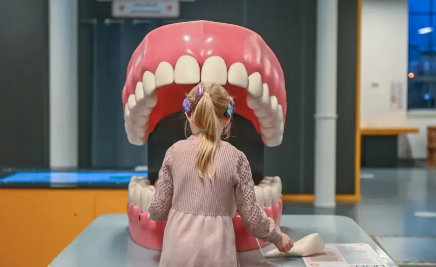 Ile trwa wizyta u dentysty? Od przeglądu po kanałowe realne czasy.