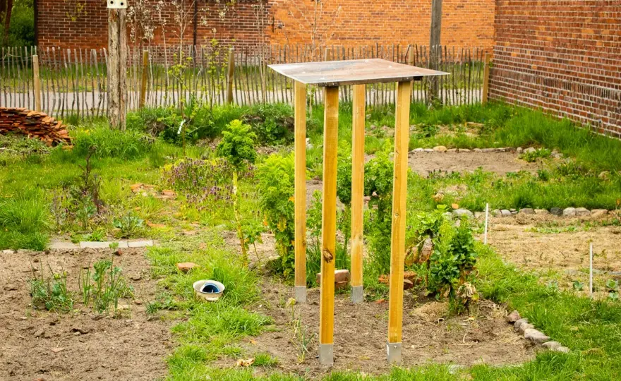 Tomatendach selber bauen - Tipps für Höhe, Dach und Material