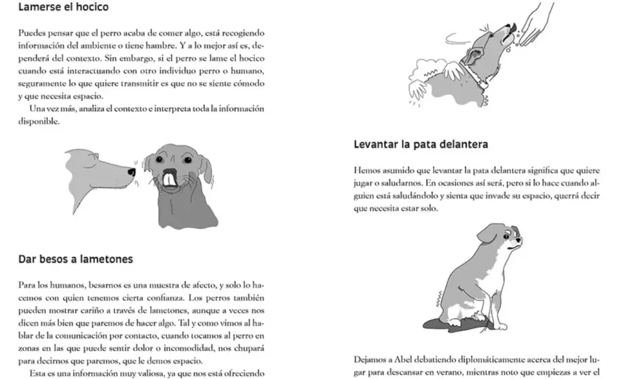 Perros raros - ¿Encajan en tu vida? Guía de convivencia