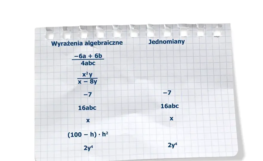 Co to są wyrazy sumy algebraicznej i jak je zrozumieć łatwo