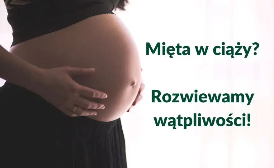 Mięta w ciąży - pić czy unikać? Sprawdź, zanim zaszkodzi!