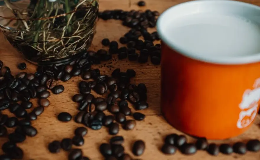 Jakie mleko do kawy? Wybierz idealne do cappuccino i latte!