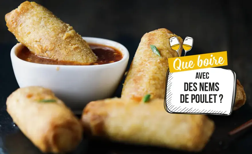 Quel vin avec des nems - L'accord parfait pour chaque nem