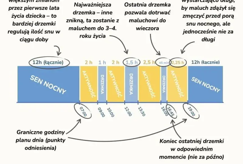 Idealny plan dnia 7 miesięcznego dziecka: kompletny schemat dla rodziców