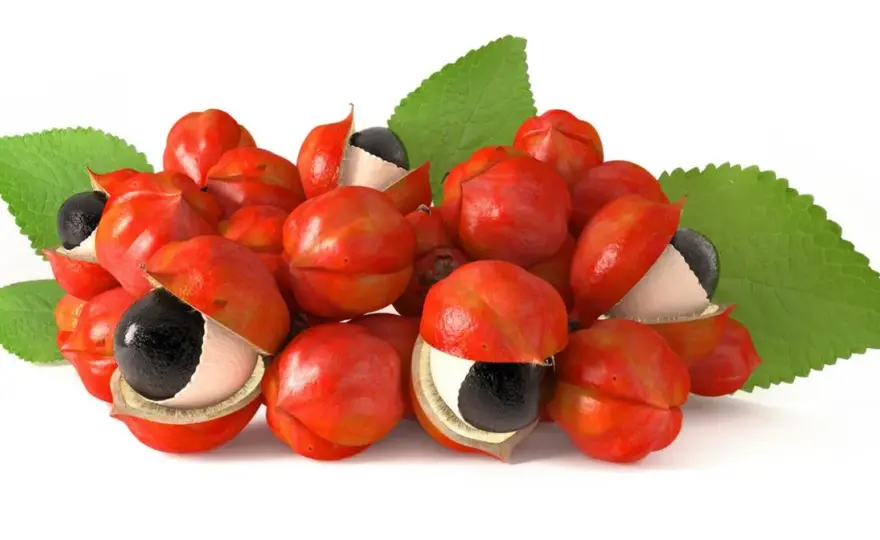 Guarana - jak parzyć, by była smaczna i skuteczna?