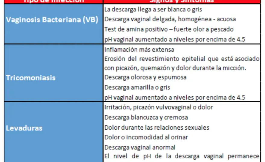 Síntomas de vaginosis bacteriana: identifica los signos y evita complicaciones