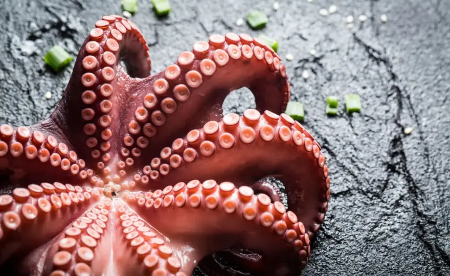 Polpo in umido perfetto - Tenero e saporito, ecco il segreto!