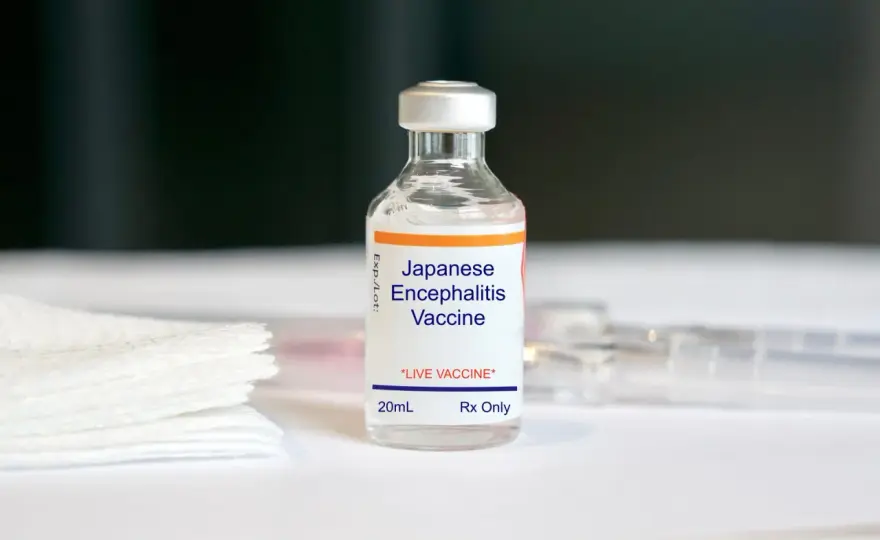 Japanische Enzephalitis Thailand: Impfung & Schutz