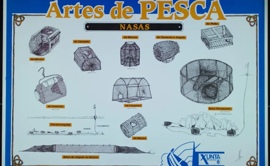 Tipos de nasas de pesca y cómo elegir la adecuada
