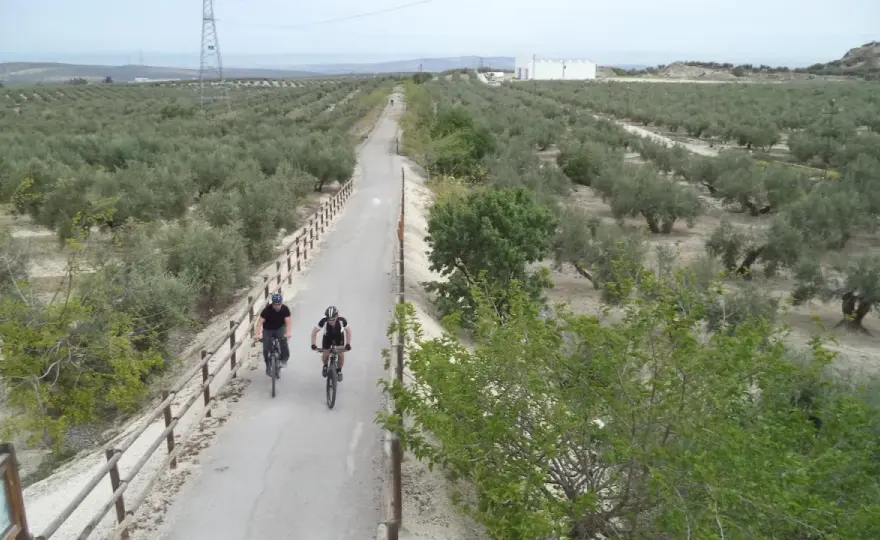 Vía Verde del Aceite - Planifica tu ruta en bici sin sorpresas