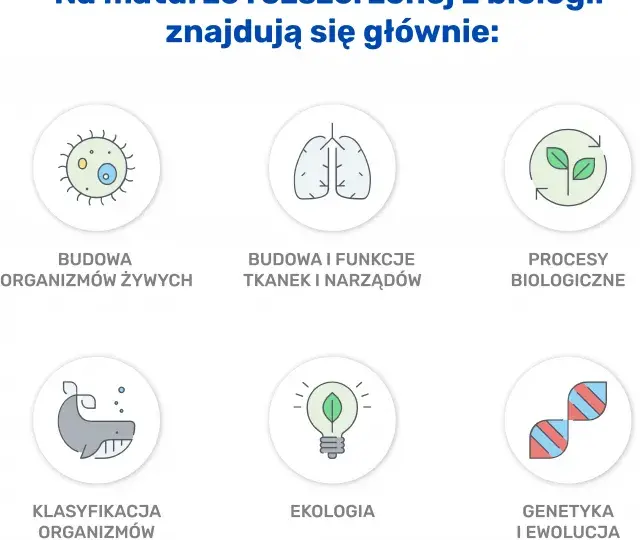 Ile punktów na maturze z biologii? Kluczowe informacje i porady