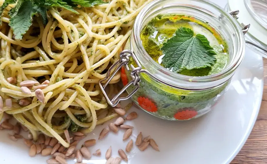 Pesto z pokrzywy - jak je zrobić poprawnie i z czym podawać?
