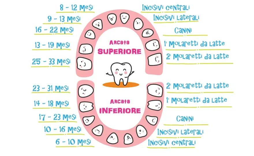 Dentini da latte, quando spuntano e come proteggerli