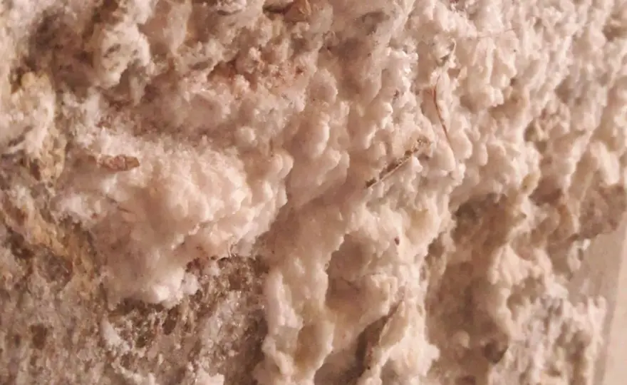 Muffa bianca sui muri - come capirla e risolverla