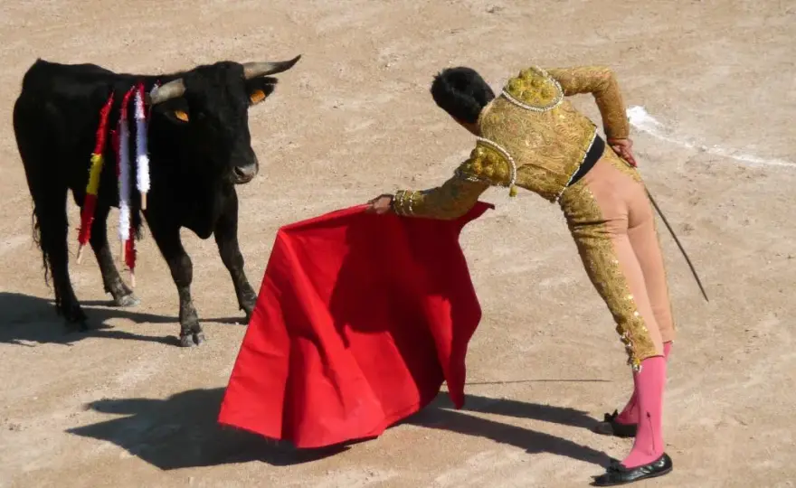 Czy corrida jest zakazana w Hiszpanii? Sprawdź kontrowersje prawne