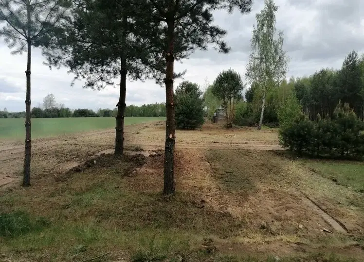 Jak wykarczować działkę: proste kroki do efektywnego oczyszczenia terenu