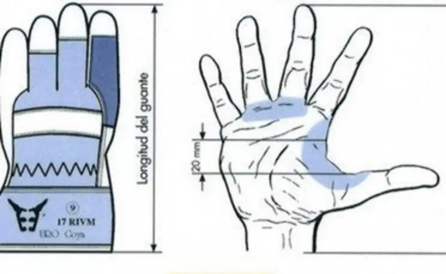 Talla de la mano - cómo medirla para elegir guantes sin fallar