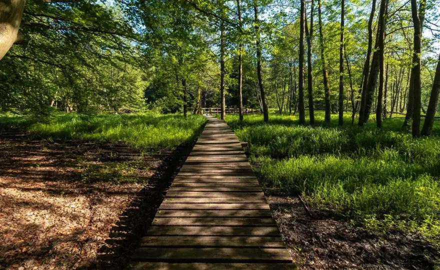 Drawieński Park Narodowy - trasy, spływy i ceny. Sprawdź!