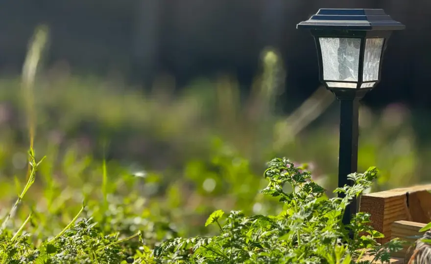 Lampa solarna - Jak działa i którą wybrać do ogrodu?