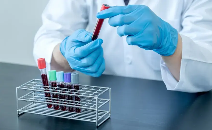 Test z kursu krwiodawstwa: Jak go zdać? Kluczowe zagadnienia
