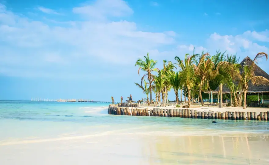 Ile się leci na Zanzibar - Realny czas lotu i jak skrócić podróż