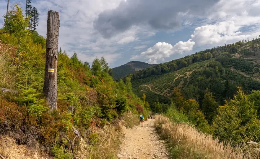 Góry wokół Żywca: Beskid Żywiecki, Mały, Śląski szlaki i atrakcje