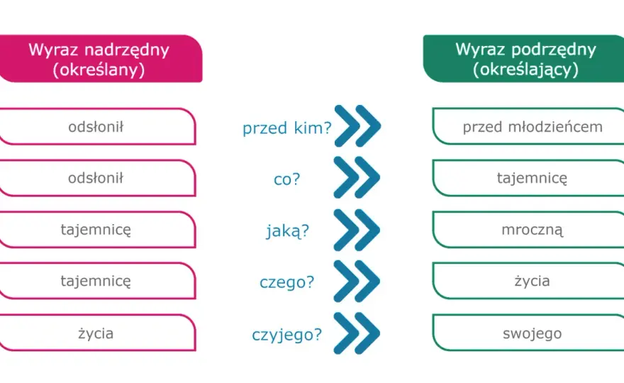 Związki wyrazowe – jak je rozpoznać i analizować w tekście?