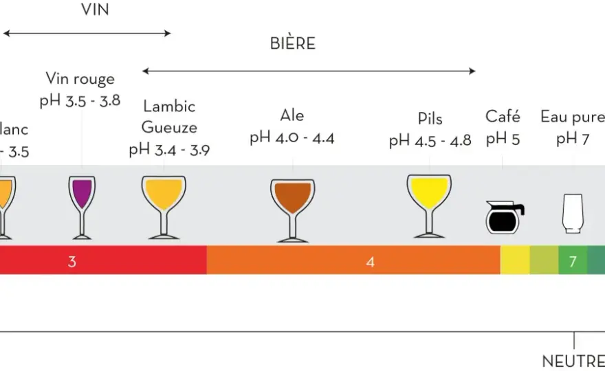 Bicarbonate et brassage - Maîtrisez le pH de votre bière